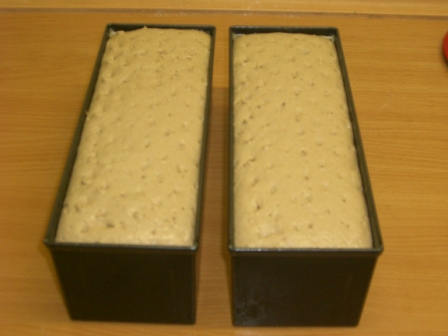 Kopie von Backtag 042.jpg