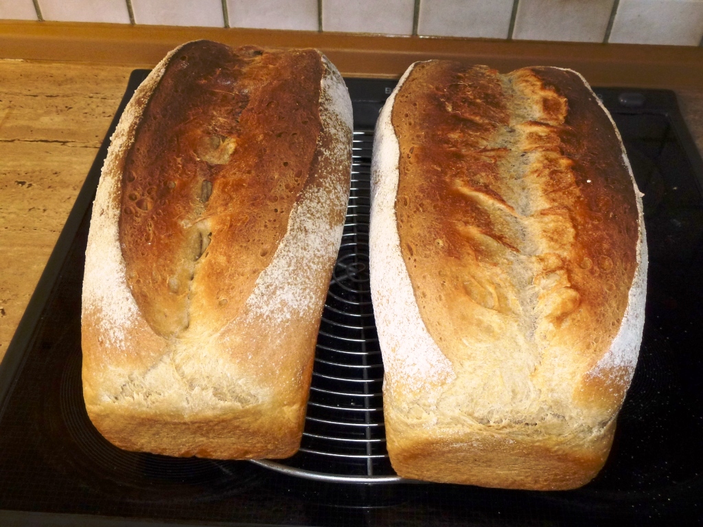 zwei Münsterländer Bauernstuten, doppeltes Rezept