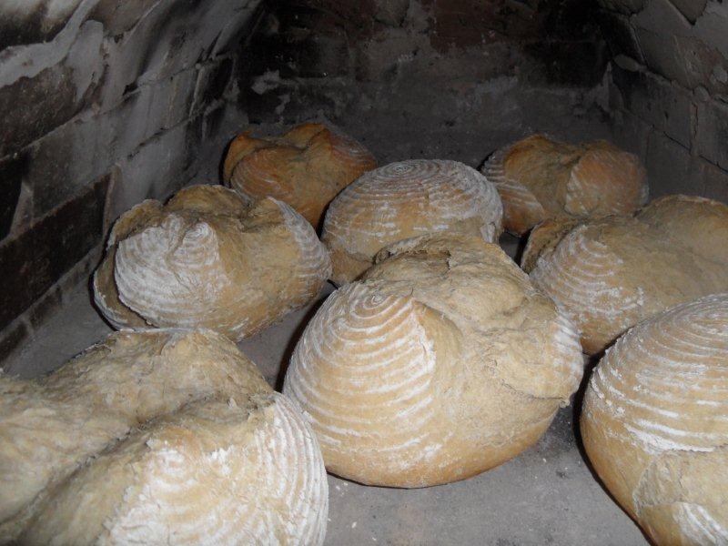 Bauernbrote.jpg