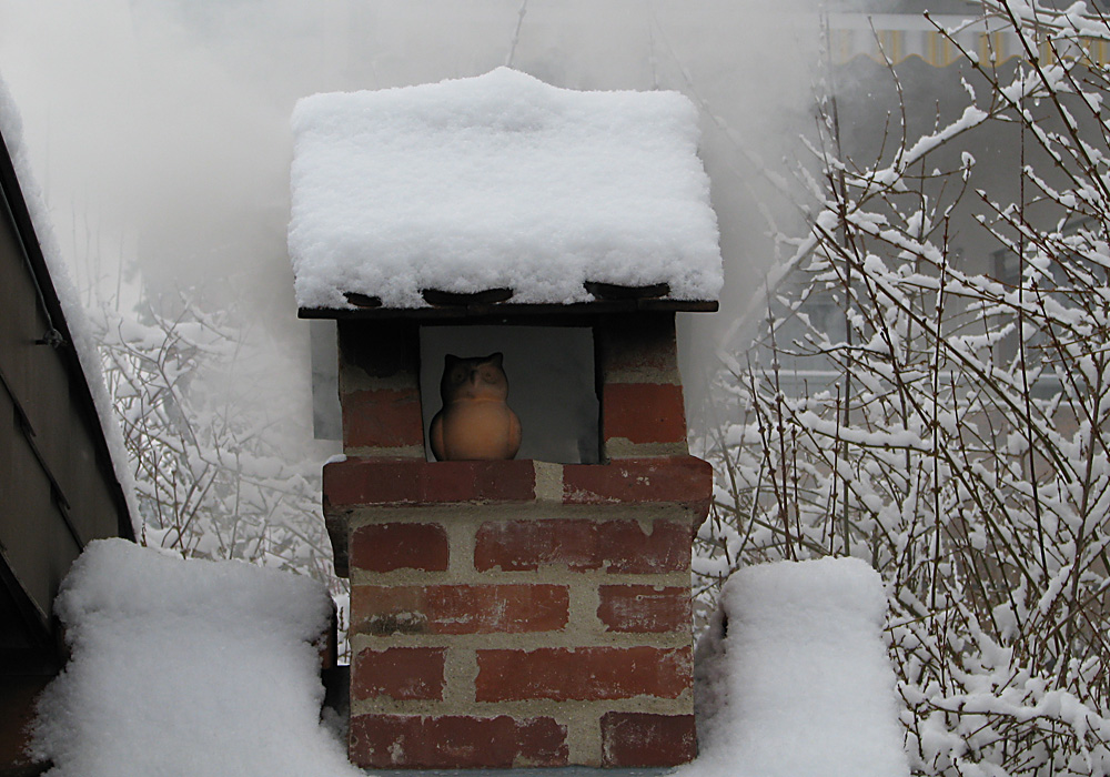 Winter.jpg