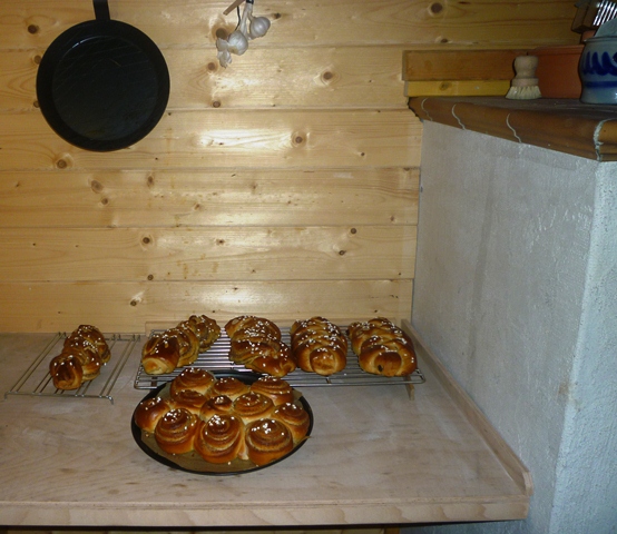 Schnecken.jpg