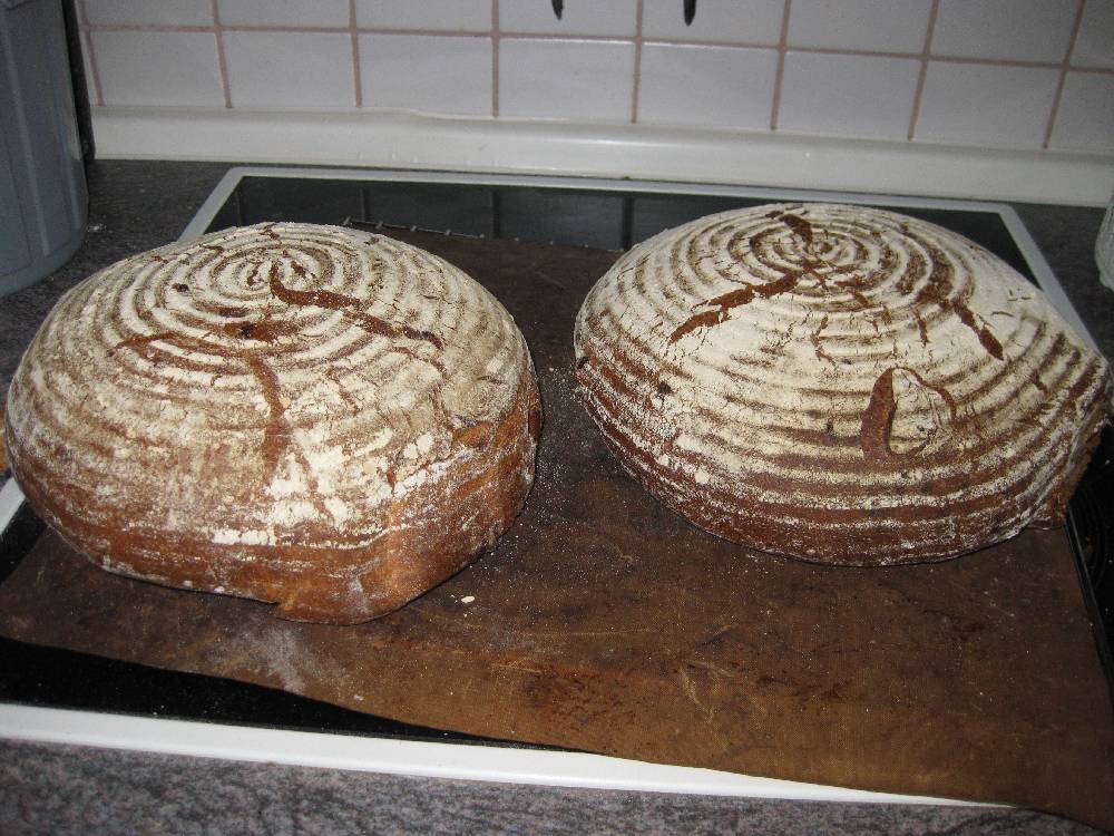 Zwiebelbrot.JPG