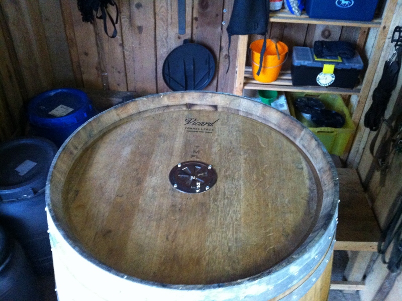 IMG_0437 (800x598).jpg