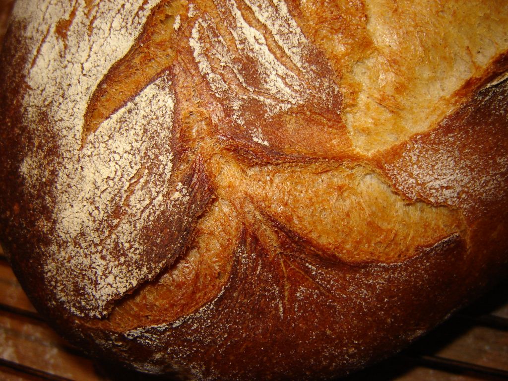 Zwiebelbrot08.jpg