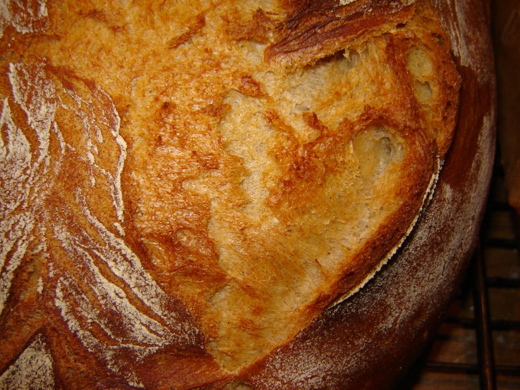 Zwiebelbrot09.jpg