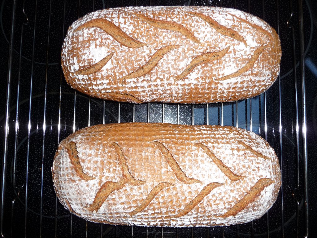 20130126_2Brote.JPG