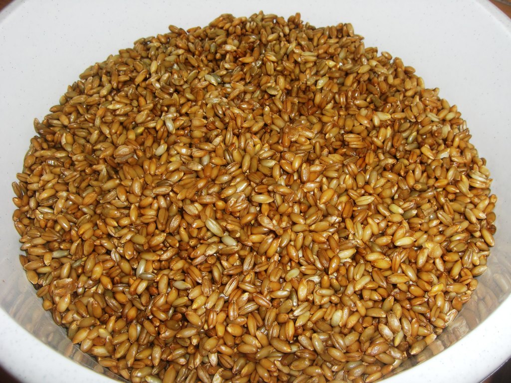 die Roggenkörner habe ich über Nacht quellen lassen