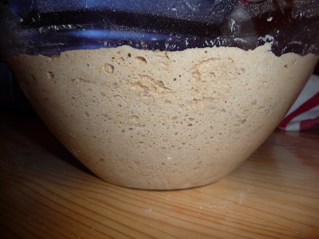 20130207_SauerteigEnde.JPG