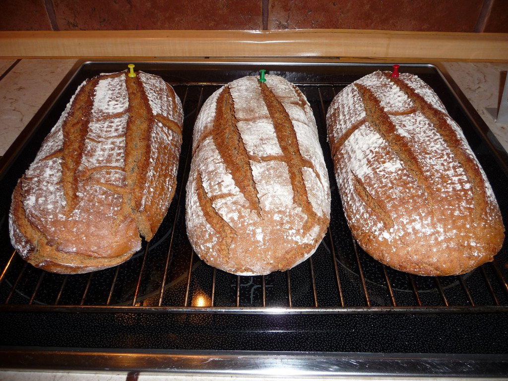 20130207_Brobanden.JPG