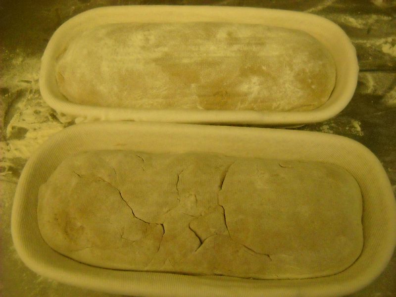 k-Ketex Chaosbrot 006.JPG