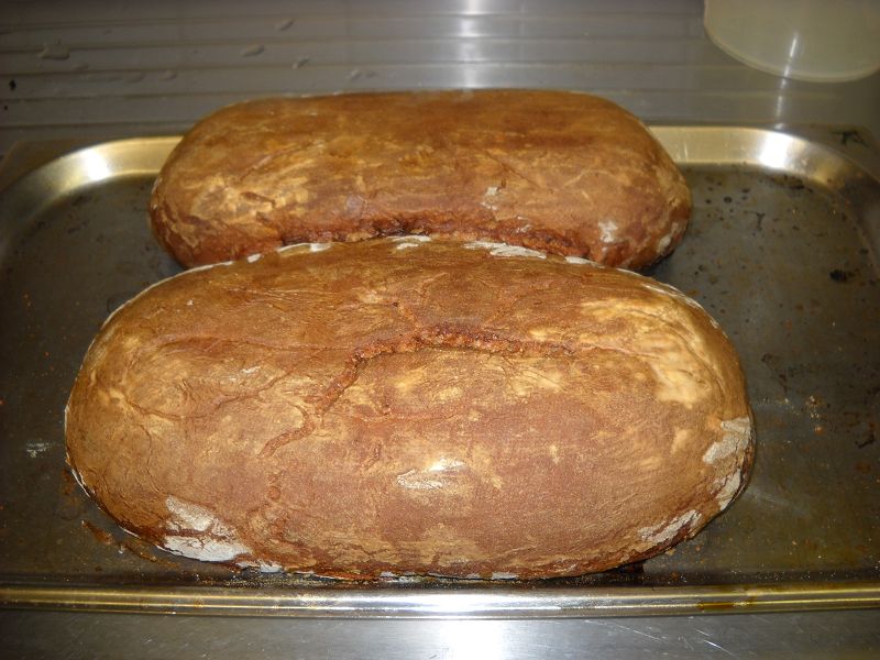 k-Ketex Chaosbrot 009.JPG