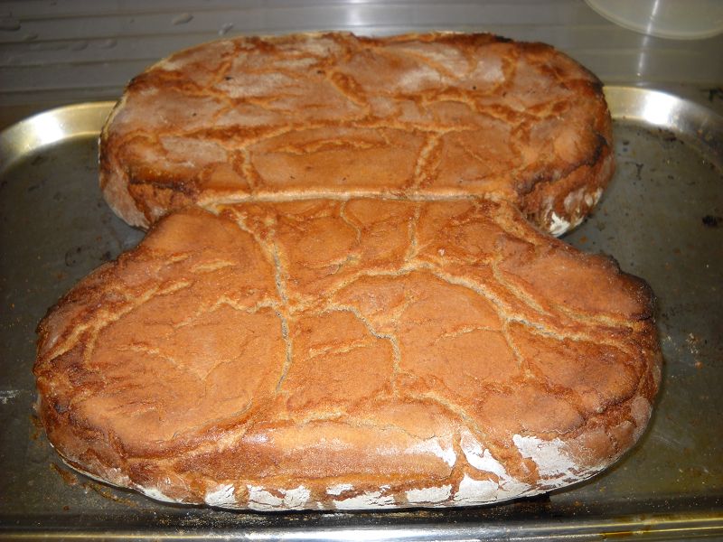 k-Ketex Chaosbrot 010.JPG