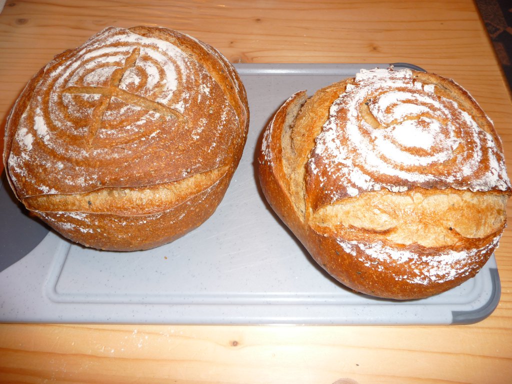 20130215_zwoaLoab.JPG