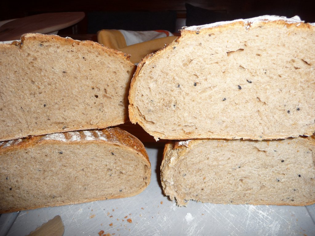 20130215_zwoaLoabOgschnittn.JPG