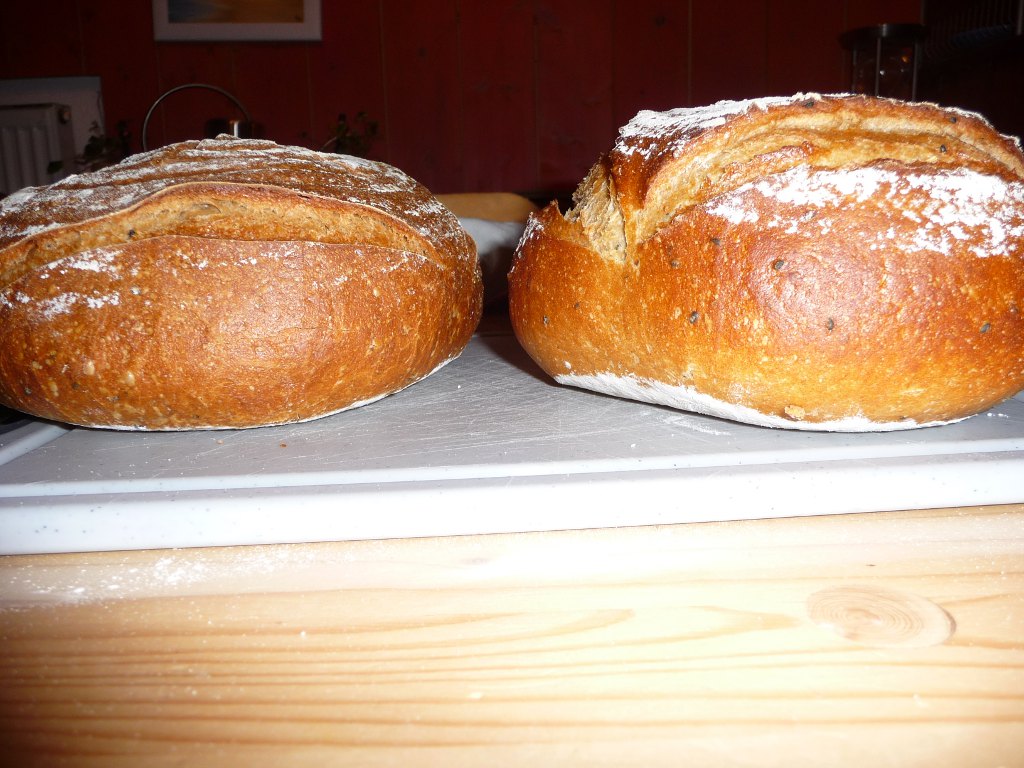 20130215_zwoaLoabVoDaSeitn.JPG