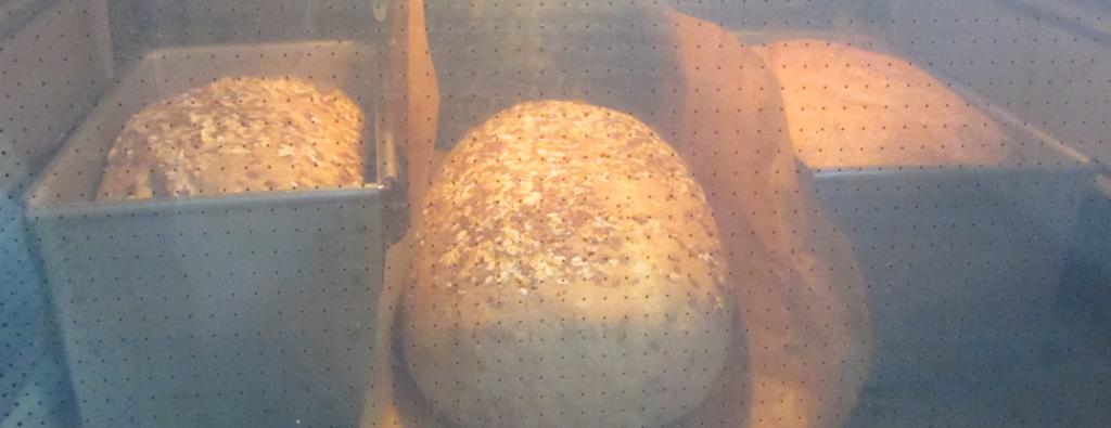 Zu diesem Zeitpunkt war das Doppelback schon eine 1/4 h im Ofen