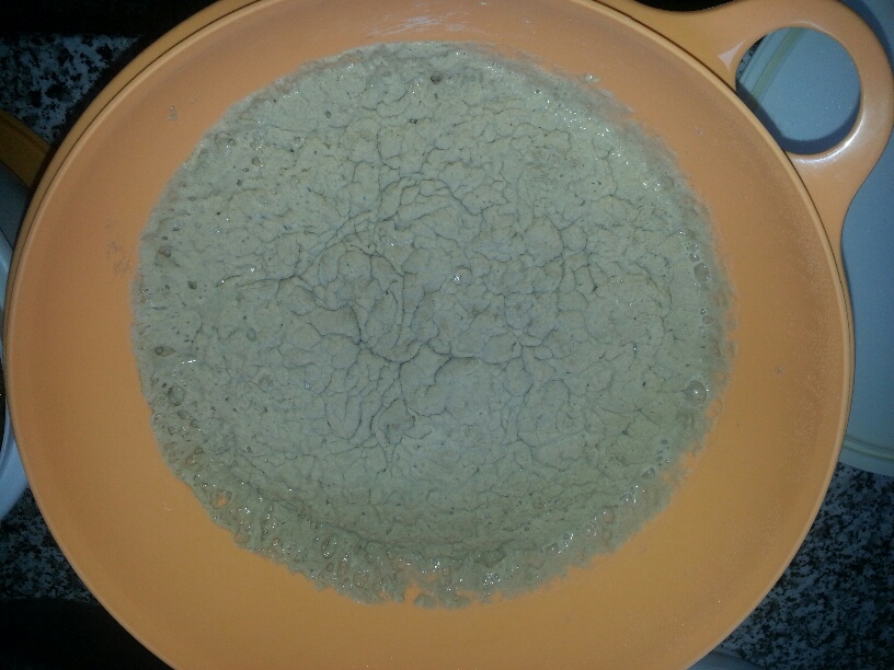 20130223_095121_resized.jpg