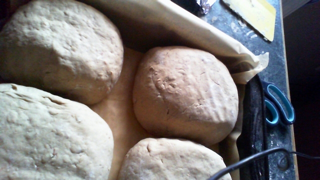 2013-02-22 16-30-57.266 (2).jpg