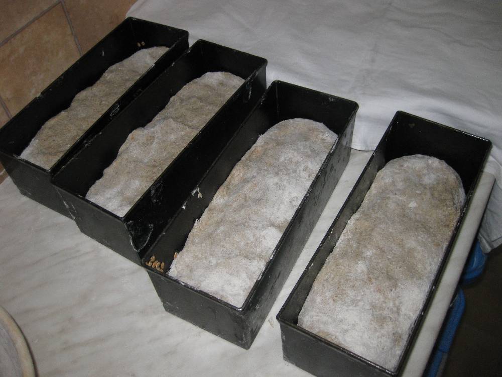 Kastenbrote zur Gare.JPG