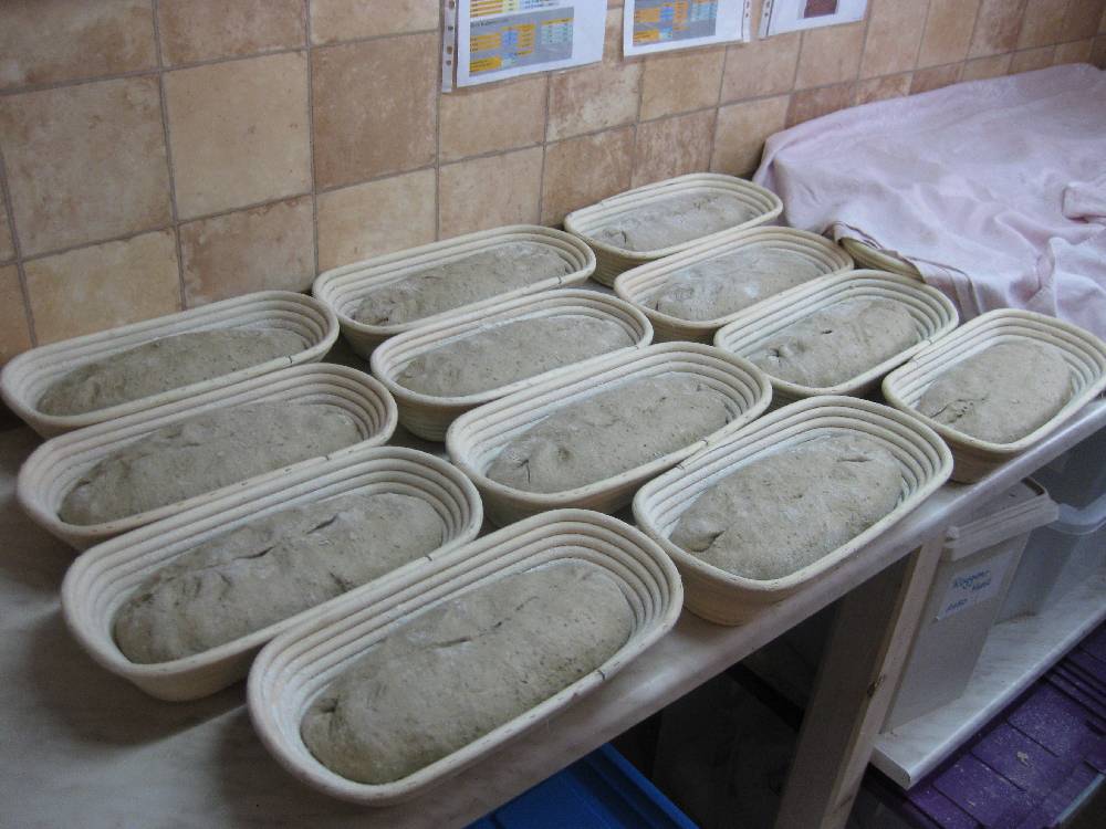 Roggenmischbrot.JPG