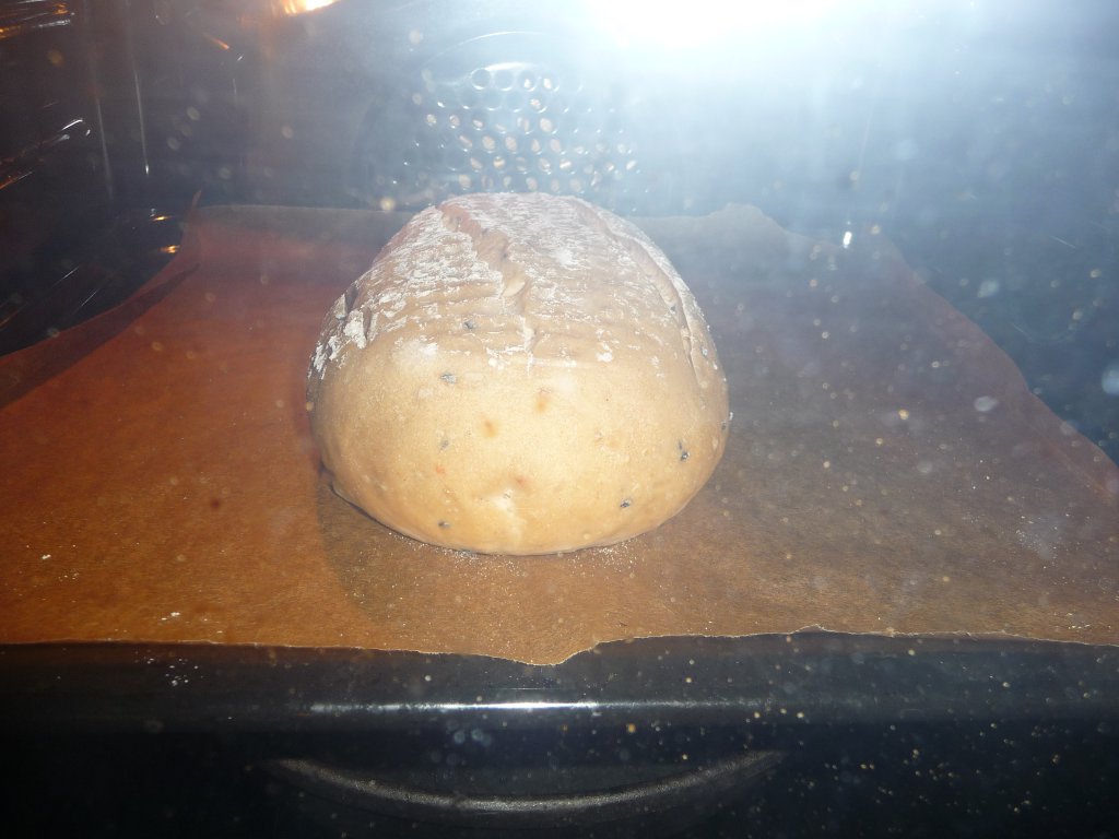 20130227_einschuss.JPG