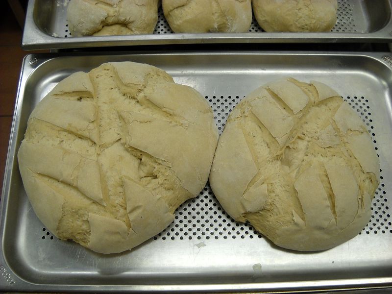 k-Alltagsbrot 001.JPG