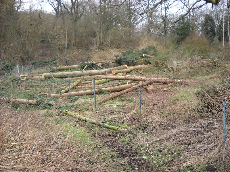 k-Sonstiges 010.jpg