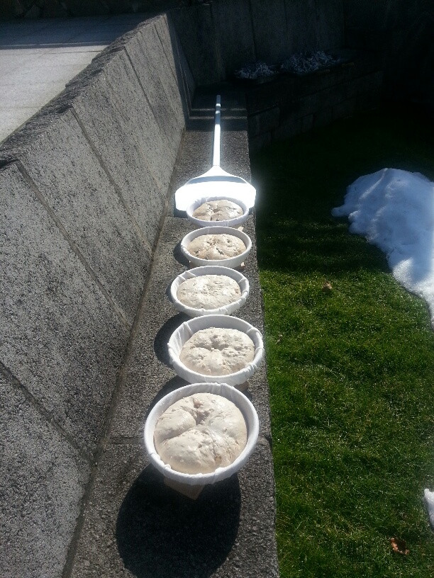 20130302_130615_resized.jpg