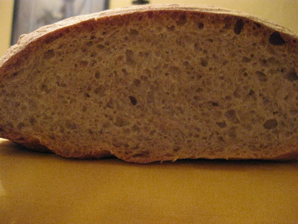 Krume ohne Gewürz.JPG