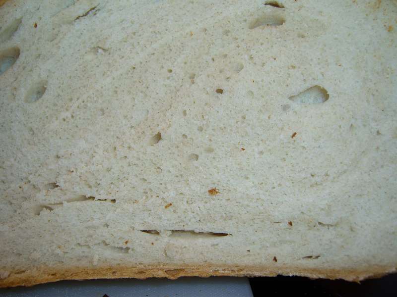 k-Anschnitt 002.jpg