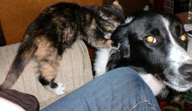 f22t209p168719n3 hhhh.jpg