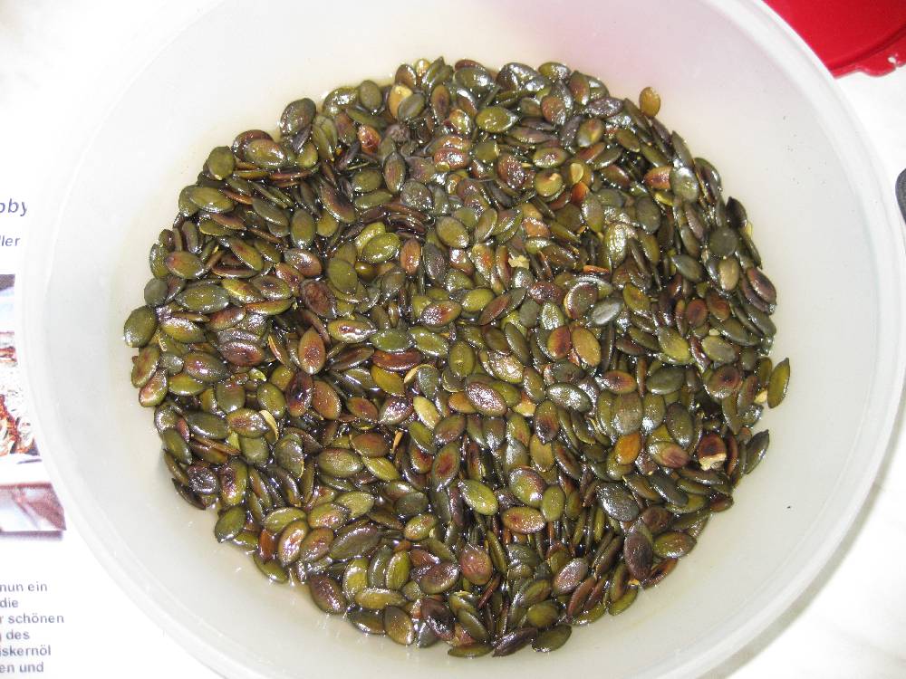 Brühstück Kürbiskerne.JPG