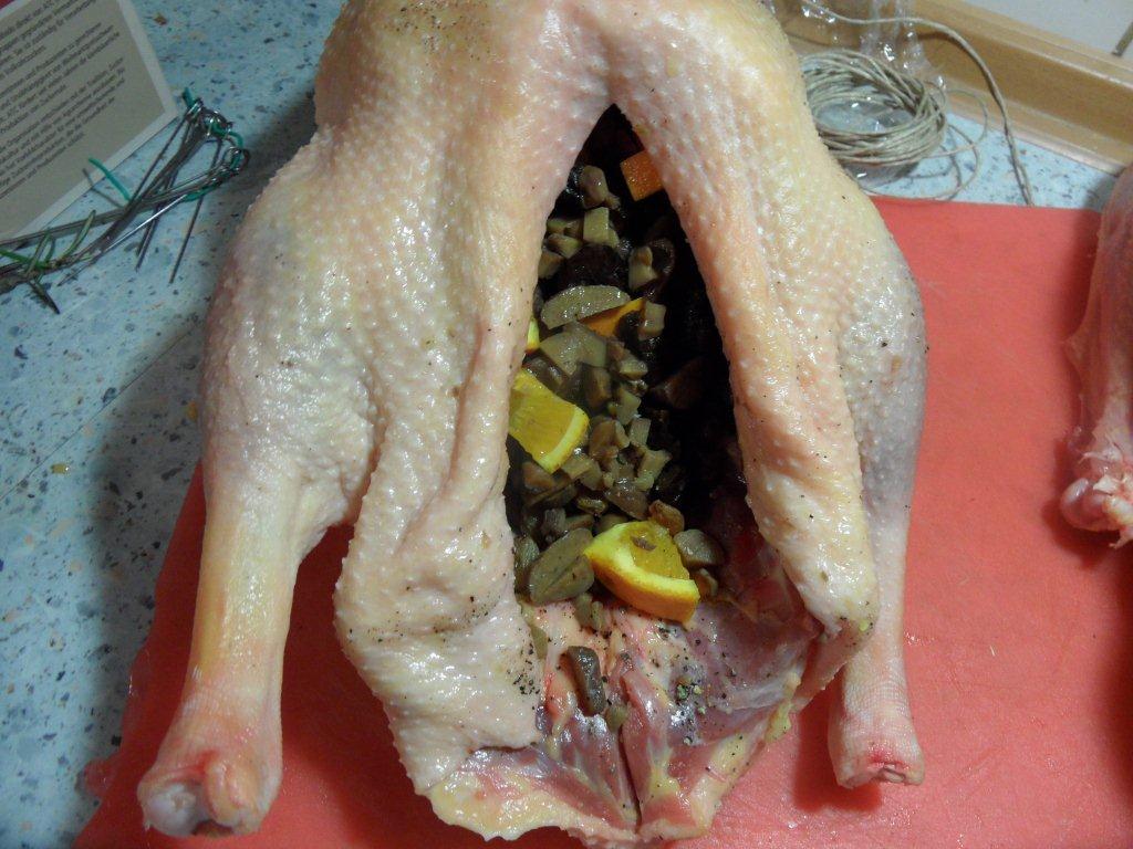 2. Fülllung Orange.jpg