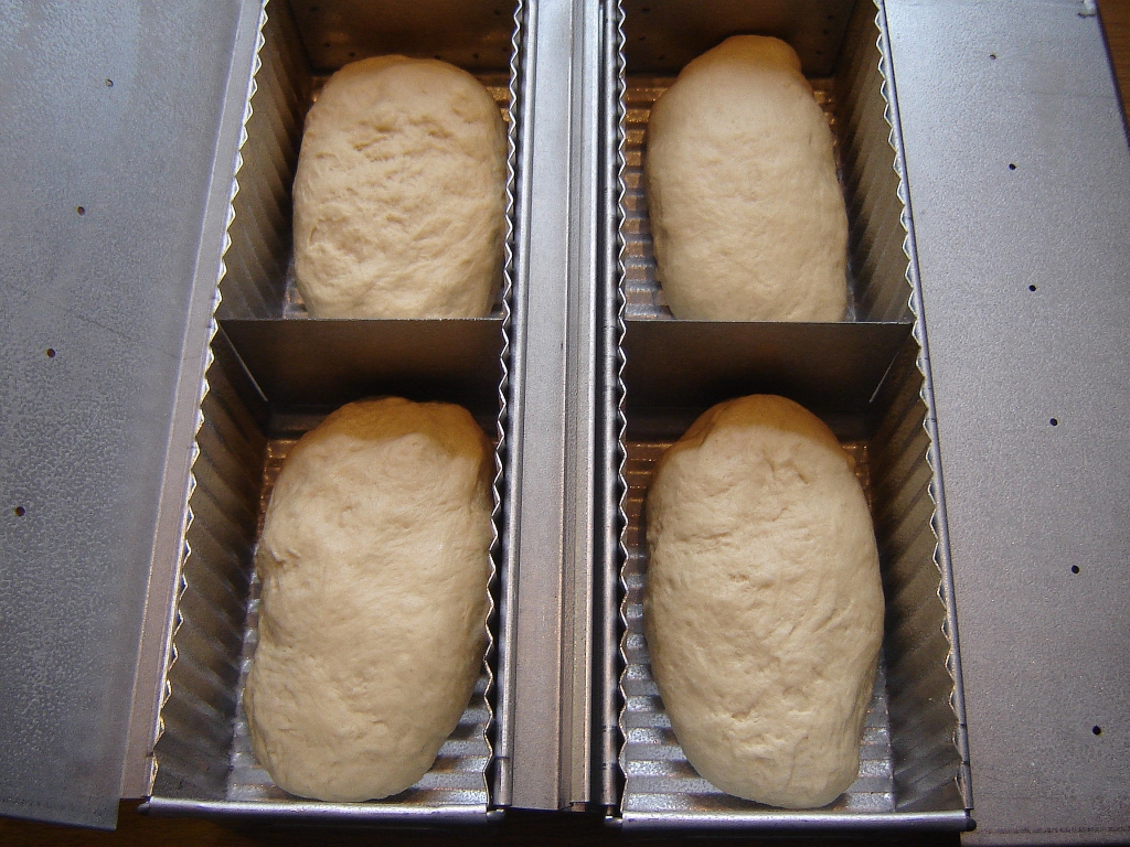 Teiglinge wirken, formen und in die Backform geben