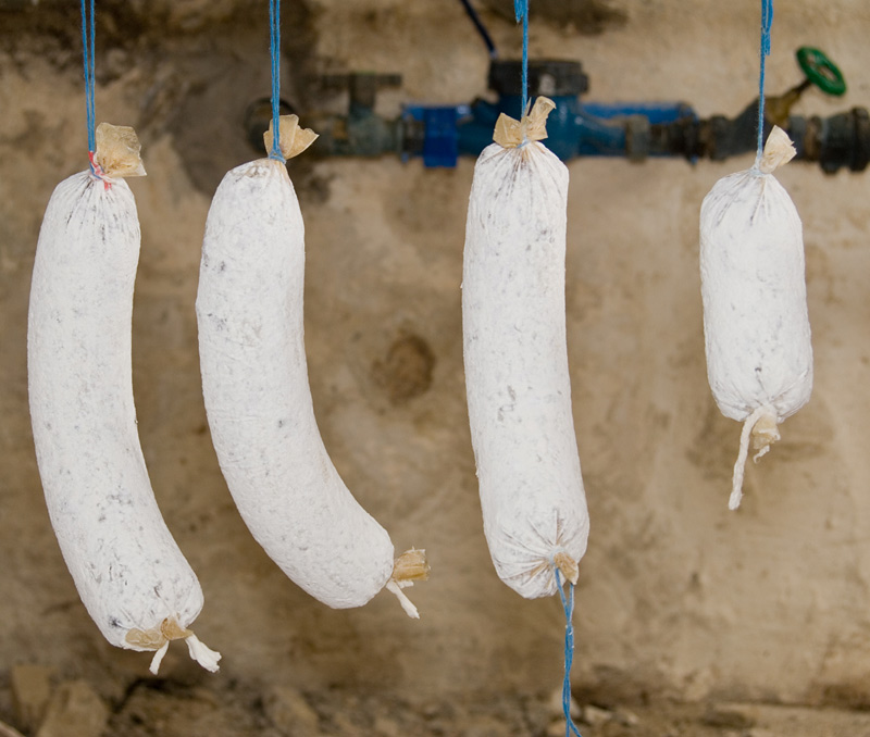 Walnussalami 1a mit Edelschimmel