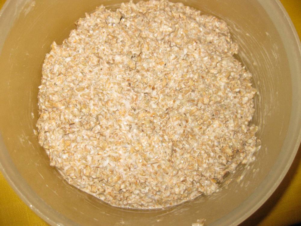 Sauerteig.JPG