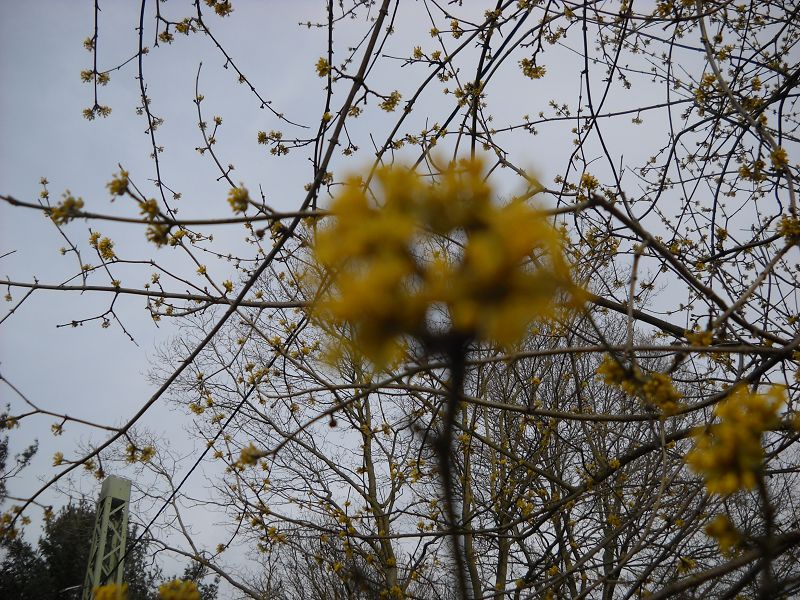 k-18.3.2013 007.JPG