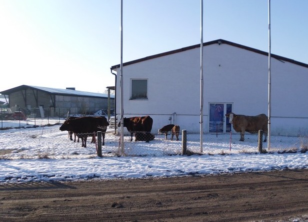 Zuschauer am Backtag...