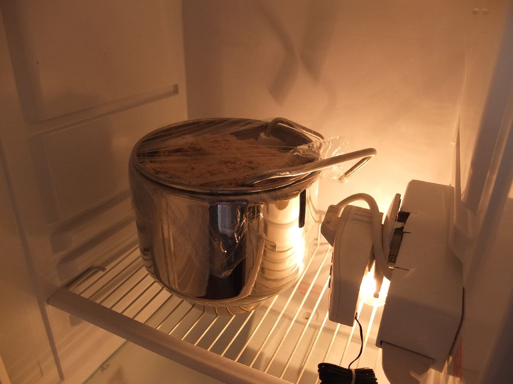 Teig auf zweiter Stufe im Gärschrank