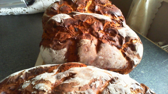 2013-04-04 16-06-46.004.jpg