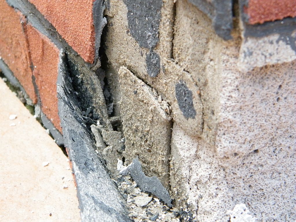 DSCF1105.JPG