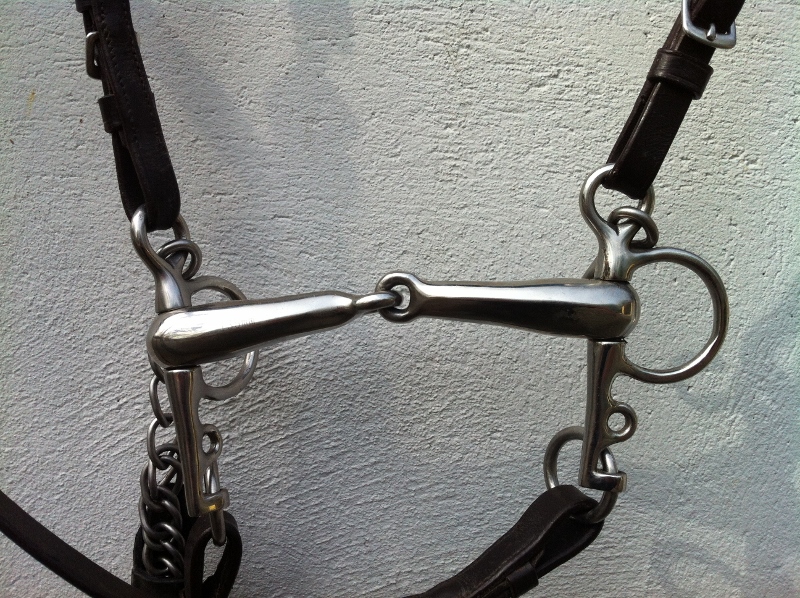 IMG_0663 (800x598).jpg