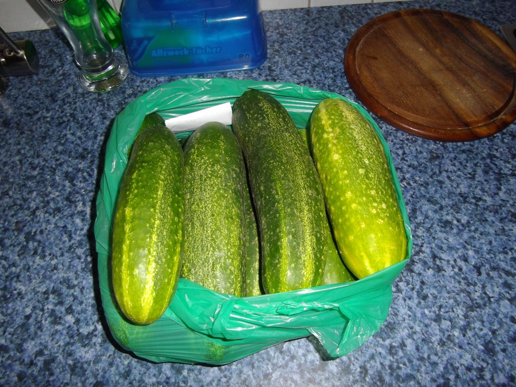 IMGP0821.JPG