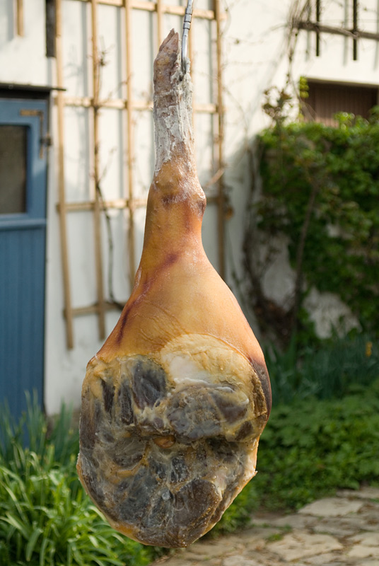 2013050316,3kg-Hausschweinkeule-wird-mit-Schweineschmalz-versiegelt003.jpg