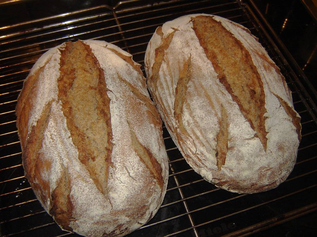 brot01.jpg