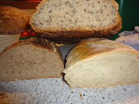 freundschaftlich vereint