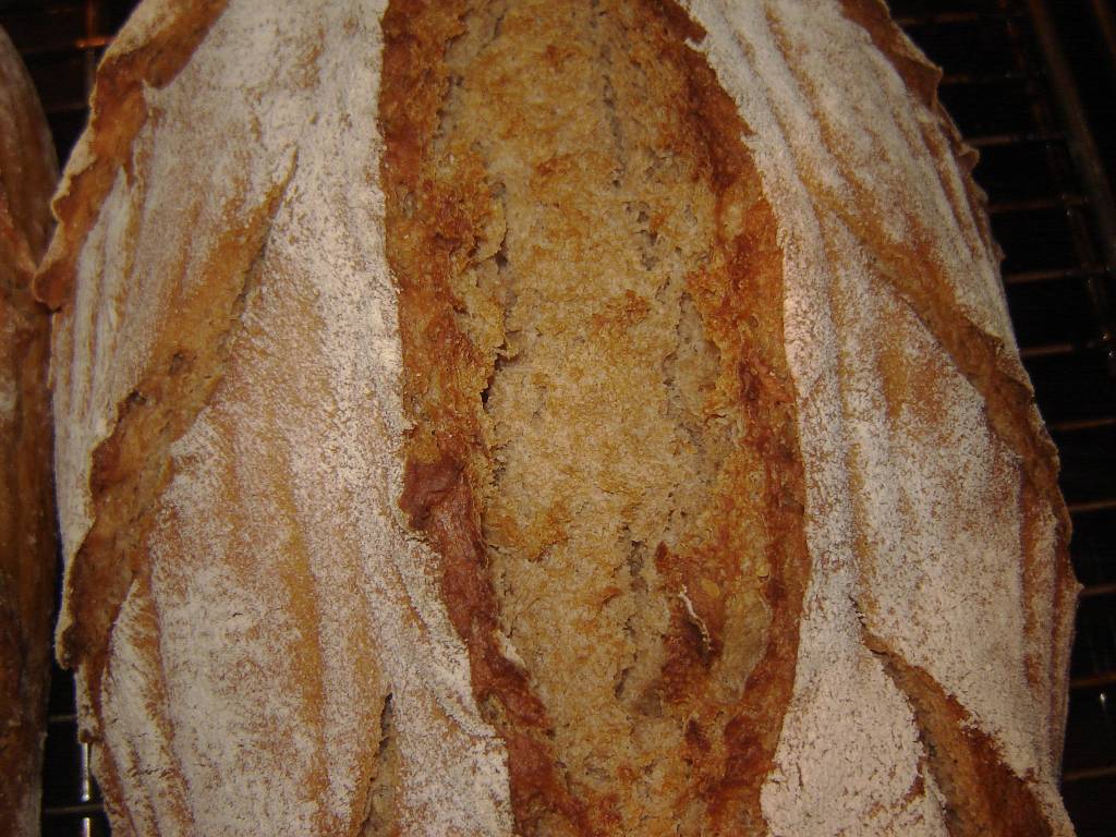 brot02.jpg