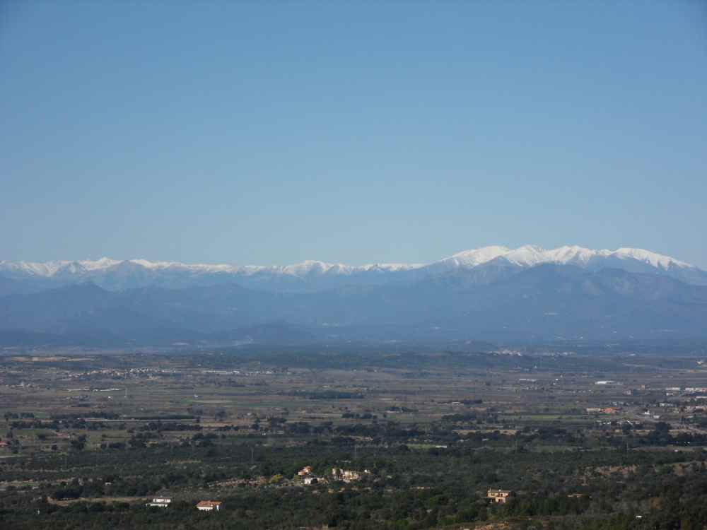 SDC11848.JPG