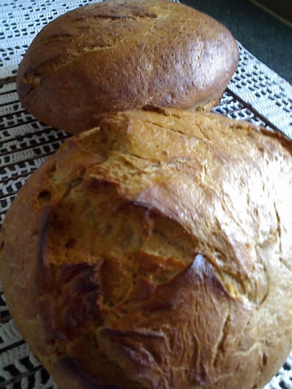 20-05-13_1113 (1).jpg