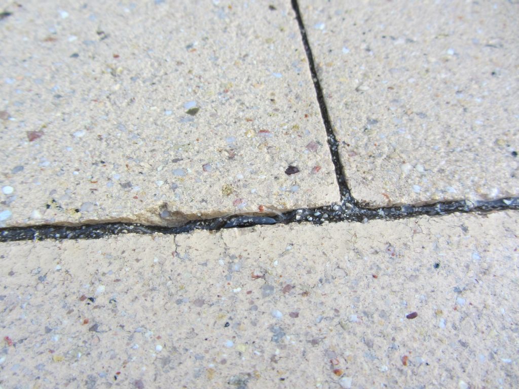 IMG_1493_1024.jpg